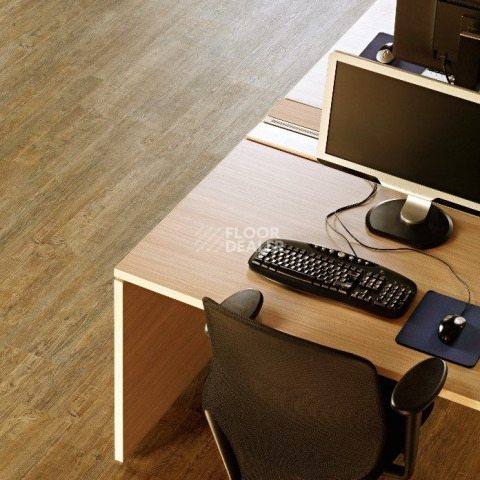 Кварцвиниловые полы FineFloor FF-1500 Wood FF-1583 Сосна Парма фото 1 | FLOORDEALER